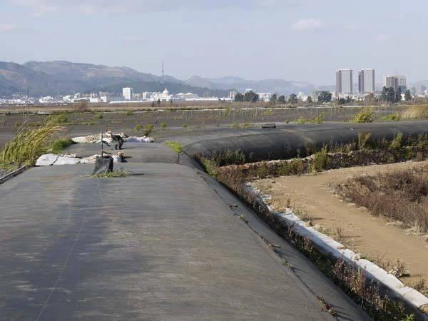 100kn Pp Geotube For Erosion Control